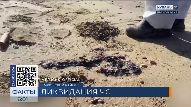 Более 70 тыс. тонн замазученного грунта вывезли с пляжей Кубани на утилизацию