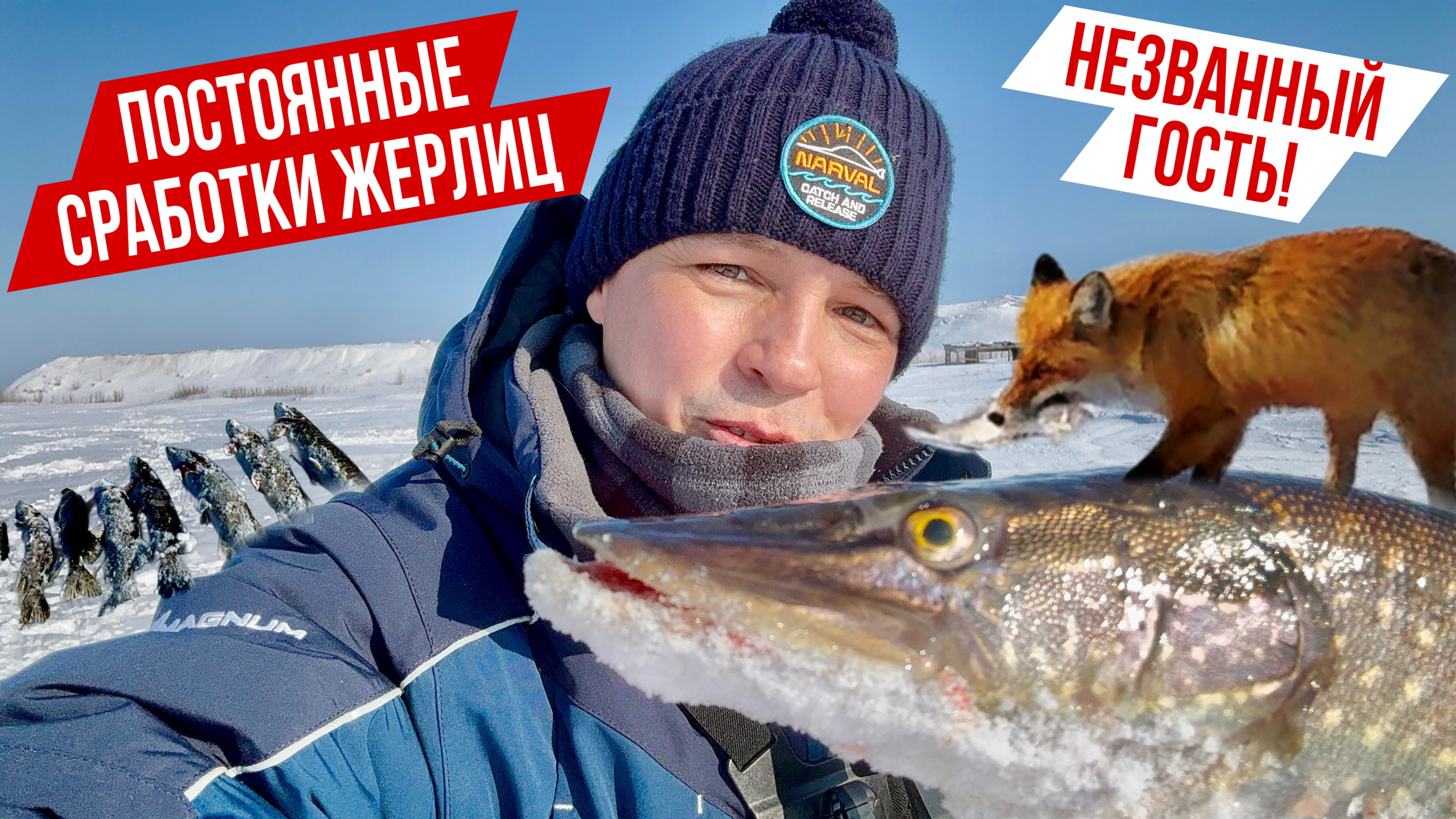 ФЛАЖКИ  ГОРЯТ🔥! А НЕЗВАННАЯ ГОСТЬЯ ОБШАРИЛА ВСЕ ЖЕРЛИЦЫ! ЛОВИМ НА ЖЕРЛИЦЫ И РАТЛИНЫ ЩУКУ НА КАРЬЕРЕ