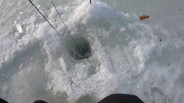 Последний лёд. РЫБАЛКА НА КОСЫНКИ.