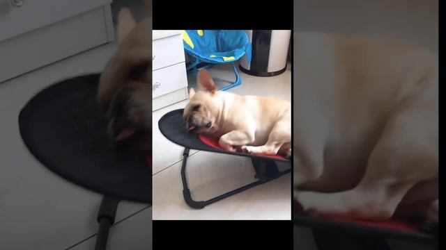 1000076185.mp4