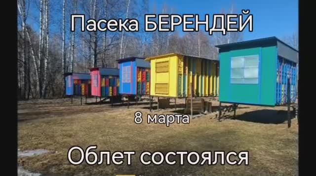 8 марта. Пасека полетела!