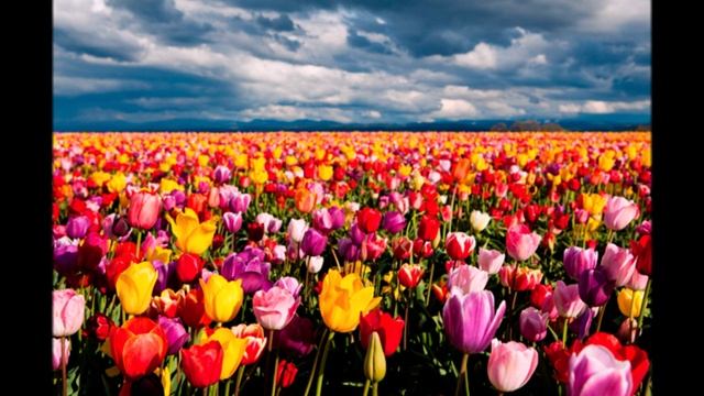 ФИШКА ДЛЯ ОСОЗНАНИЯ 07.03.2025 СОТВОРЧЕСТВО С ЕДИНЫМ ОТЦОМ-МАТЕРЬЮ