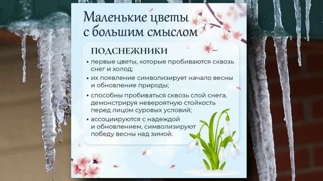 Занимательная видеоминутка «Март. Весна наступает, солнца прибавляет»