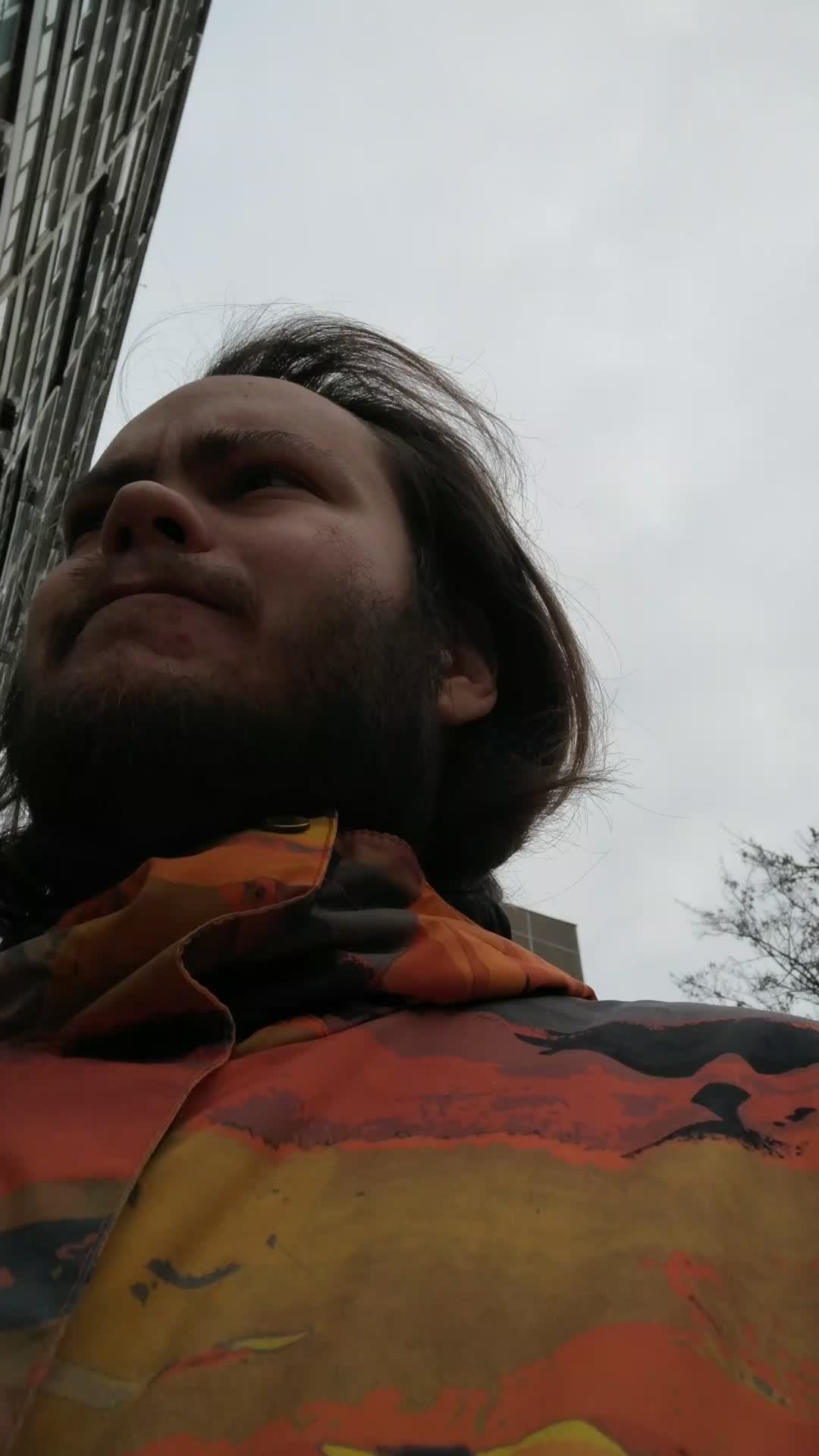 Прогулки с собаками с Винсом, 10-мар-2025, 3