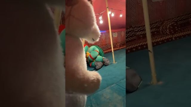Веселье
