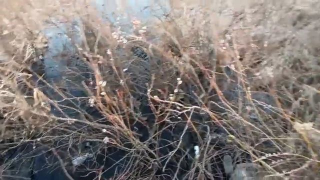 Мусор Каргата  Полигон