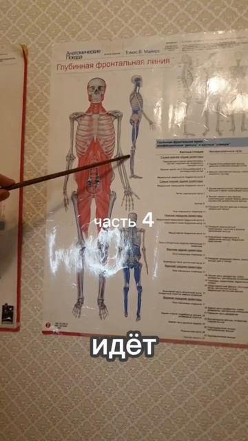 Плоскостопие и как оно влияет на наше здоровье и тело - Часть3-2