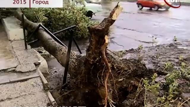 БЕРДЯНСК 2015 ЖАТКИ НОВАЯ МАШИНА