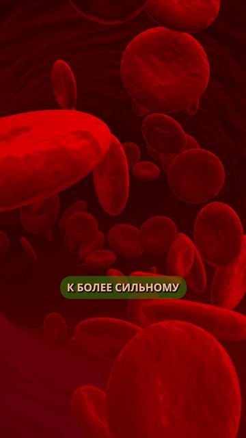О вреде шампанского!
#алкоголь#шампанское