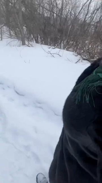 Отращю я себе... #уралочка #уральскаядевушка