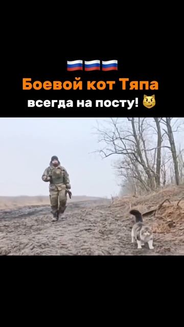 #сво
