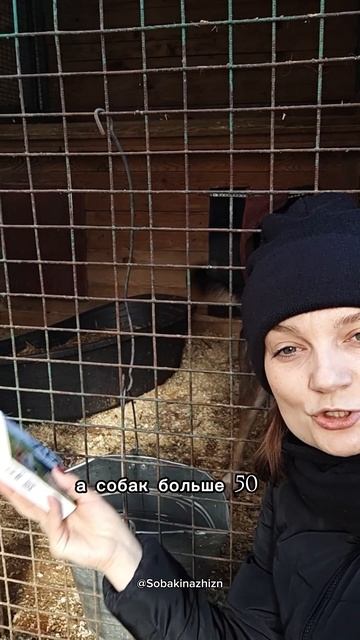 Сезон клещей открыт