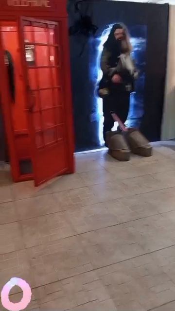 мир Гарри Поттера