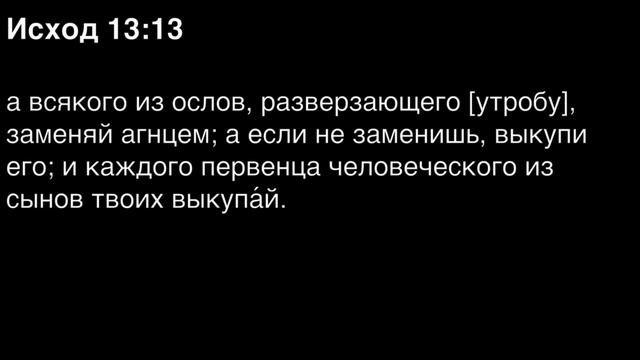 Исход, глава 13