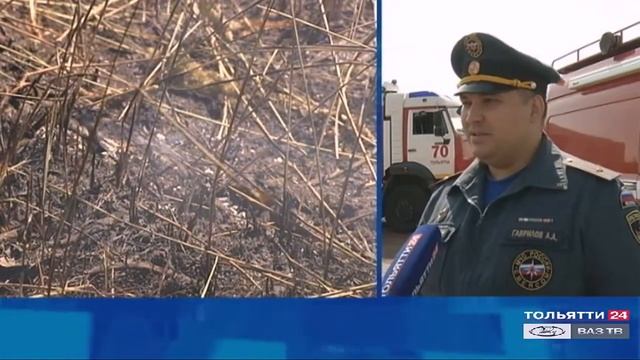 10 лет назад в Тольятти произошел самый масштабный лесной пожар ("Новости Тольятти" 06.08.2020)