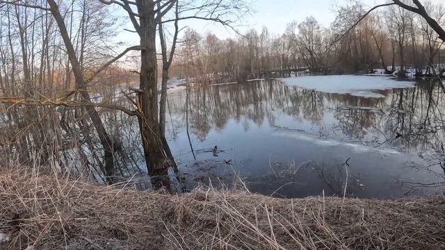 Паводок 2024 село Мезинец
