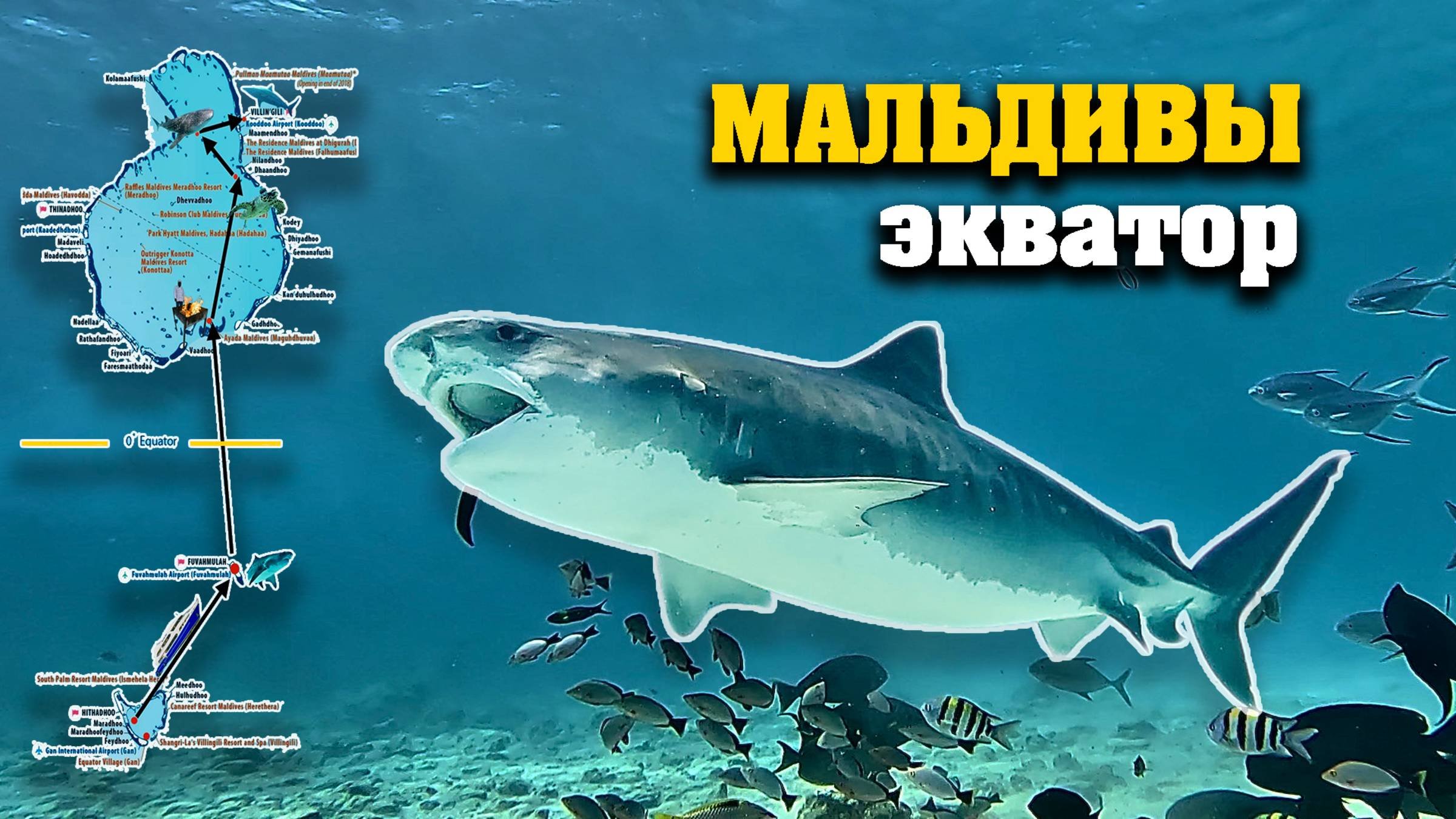 Экватор. Мальдивы 2025