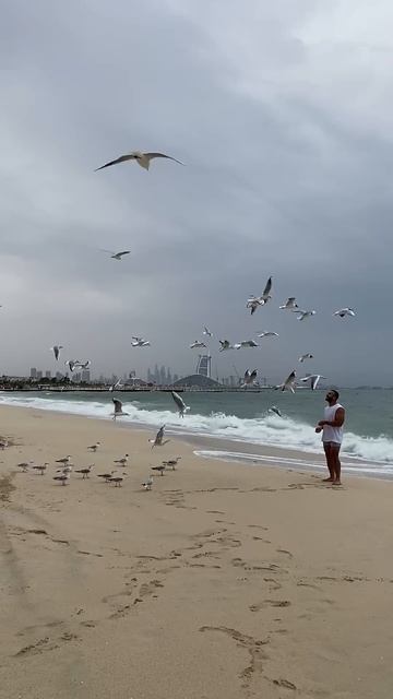 Пляж Кайт, Дубай/Kite beach. Dubai.