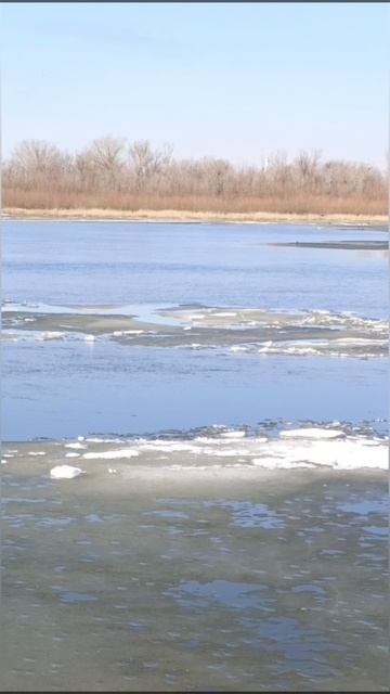 10-03-2025ледоход в Астрахани