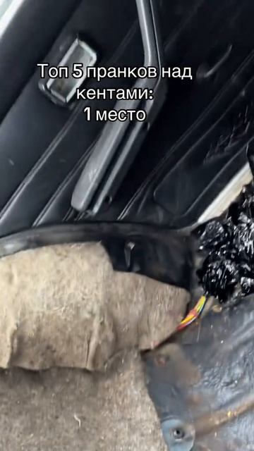 2025-03-10-214240156.mp4