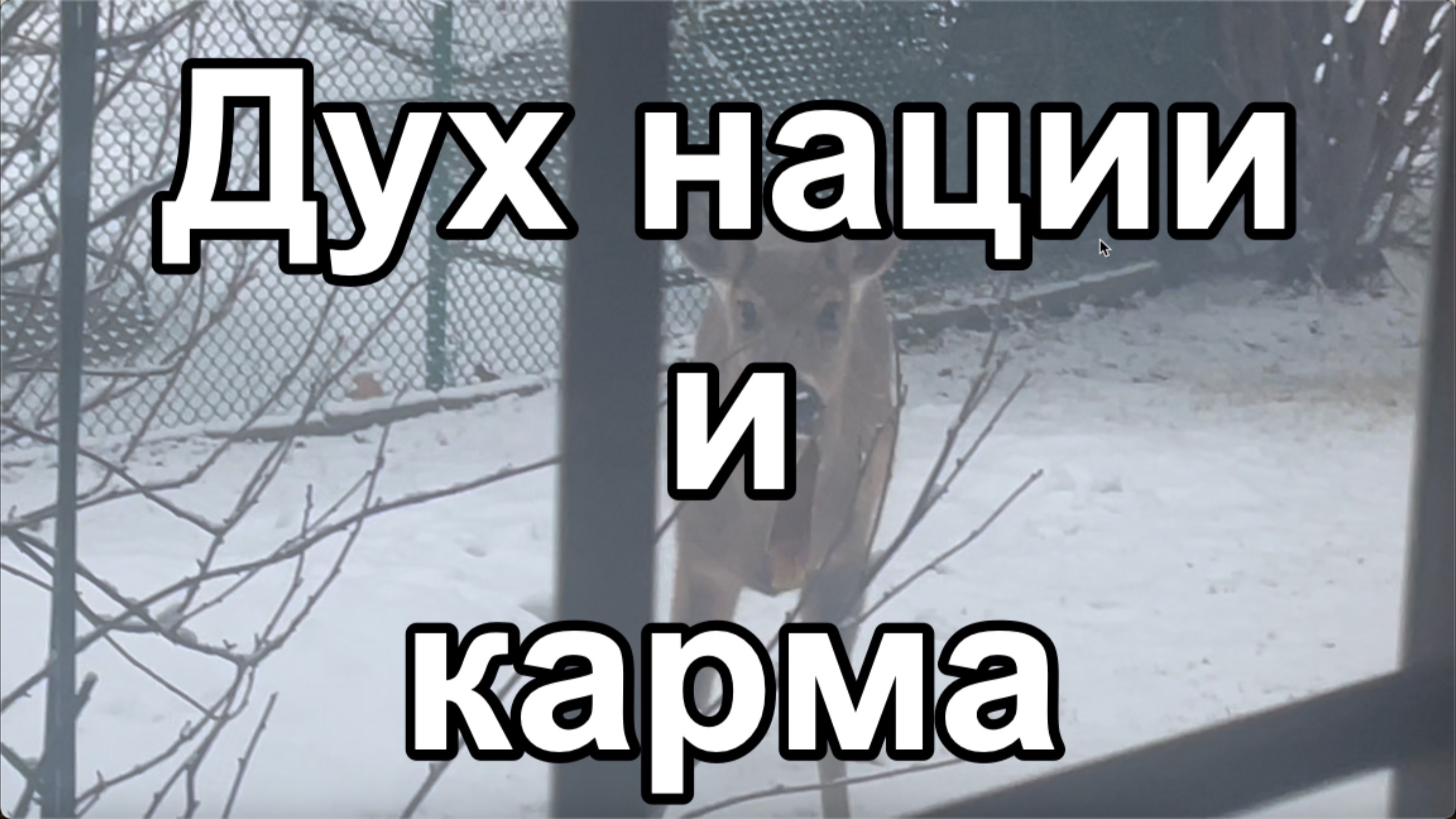 Кратко о важном: Дух нации и карма