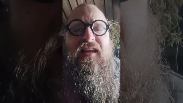 Золотая.mp4
