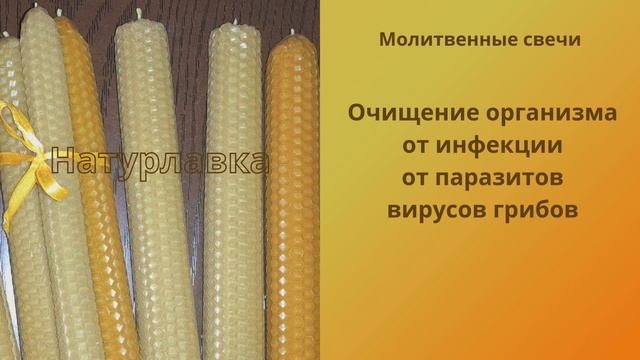 Очищение организма  от инфекции, от паразитов, вирусов, грибов.