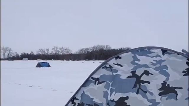 Ловля леща на шушпане