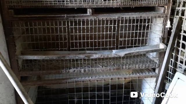 Крошка стала мамой. Жизнь на Кубани