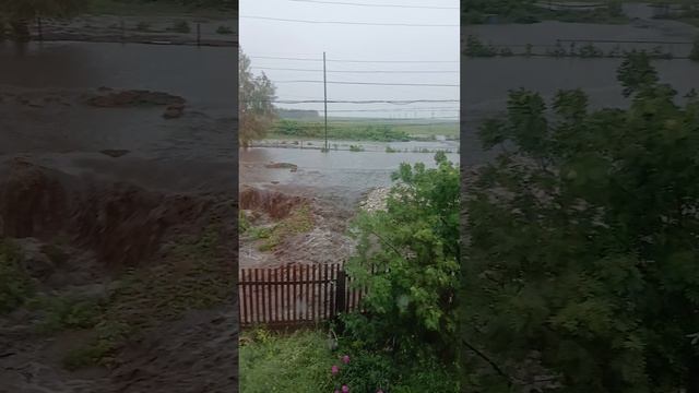 1000046181.mp4