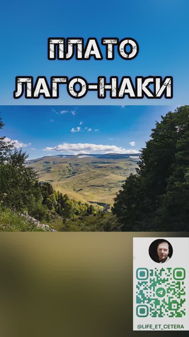 Плато Лаго-Наки #лагонаки #плато #адыгея #горы #альпийскиелуга #леопард