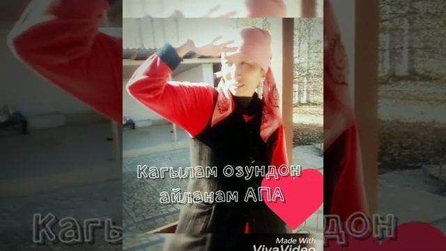 Бейишим АПАМ (текст песни)