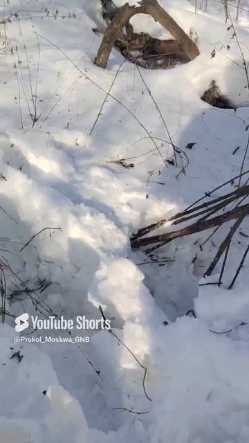 Прокол, гнб, бурение. Пилот