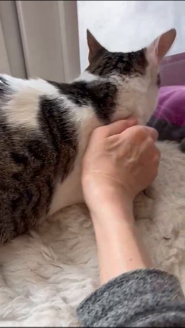 Кощка Маня 3