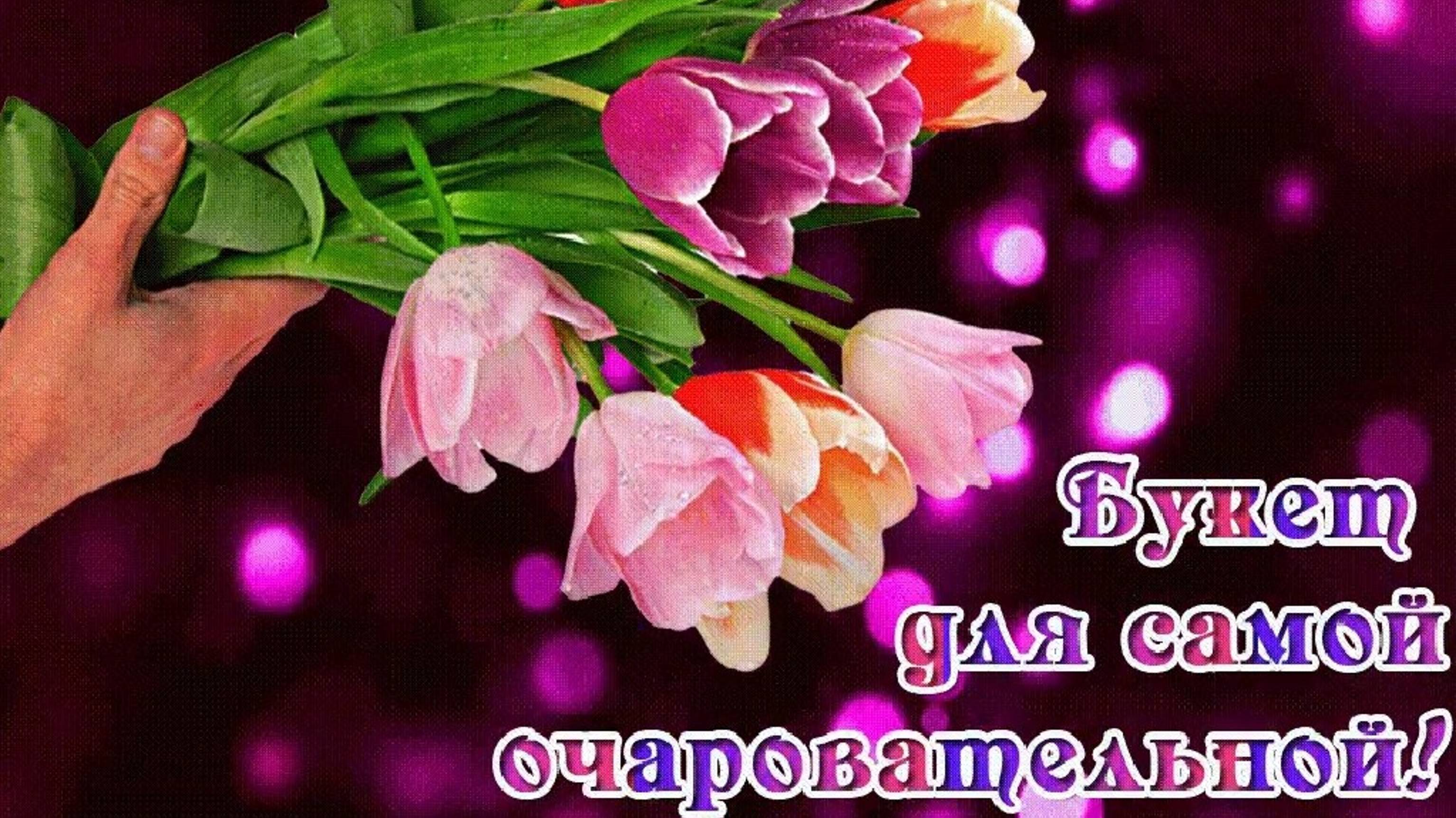 Привет всем, кто сейчас на сайте!!! Для вас это замечательное видео!!! Доброго вам Утречка!!!!