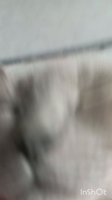 Не воруйте