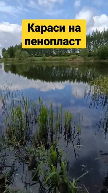 Рыбалка на пенопласт донками.