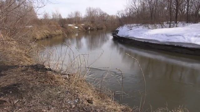 Первая весенняя вылазка на природу  Река Лосиха