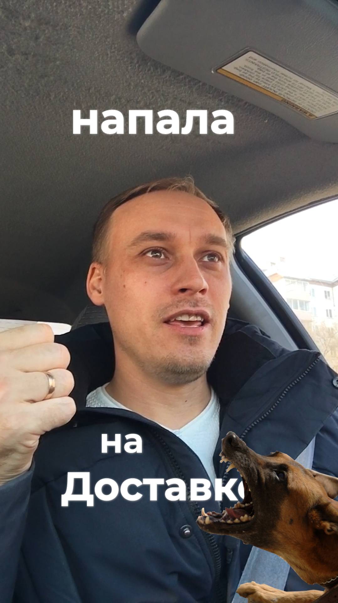 Напала собака на доставке