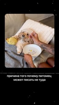 Что вас больше всего беспокоит в поведении питомца?