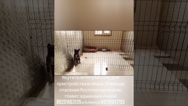 YouCut_20250310_135332236.mp4