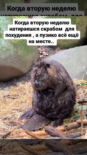 кому знакомо )))????