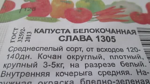 Капуста Слава 1305  Семена