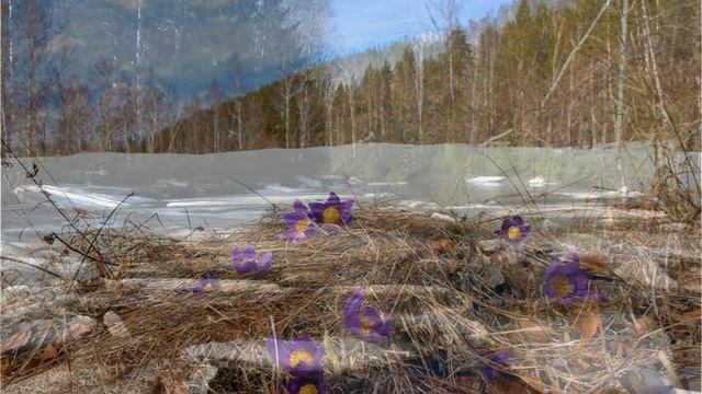 песня Пройдет зима Олега Митяева. исполнитель Николай Пожидаев.