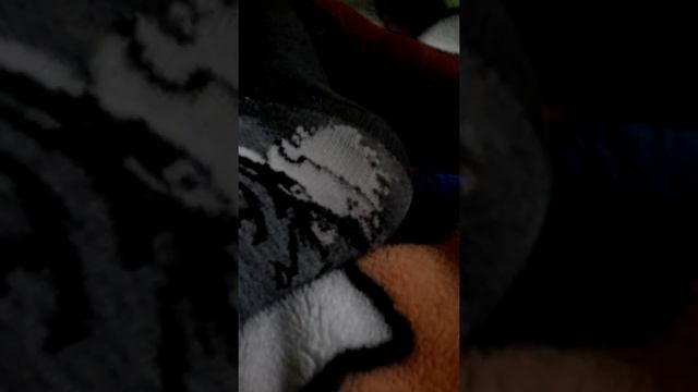 Кошка и Скейт из лего