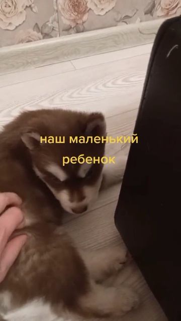 1000038146.mp4