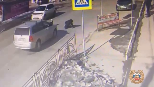 Водитель или пешеход - кто виноват в дорожных авариях