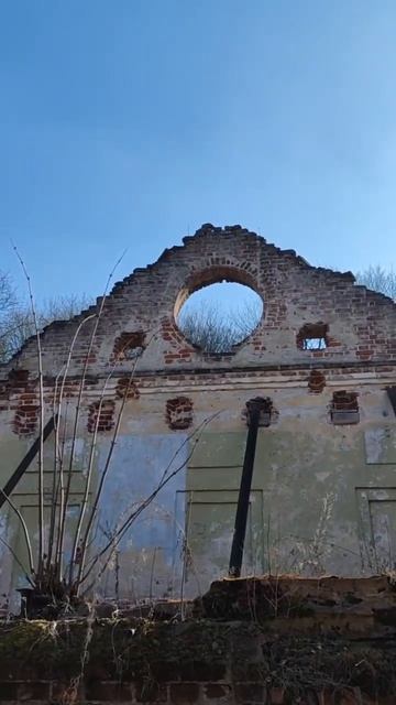 Пущинские пейзажи.