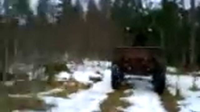 Sakslasega metsas 1