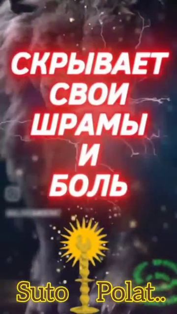 Suto Polat.. Маска #shorts